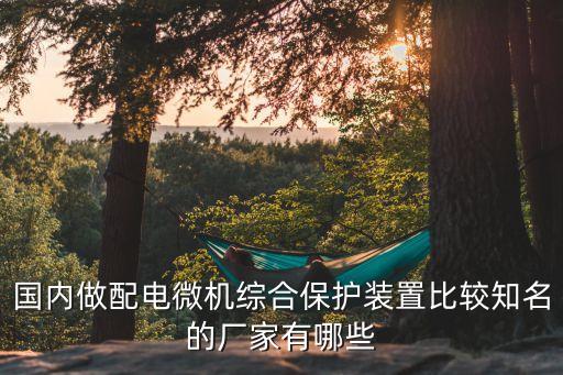 國(guó)內(nèi)做配電微機(jī)綜合保護(hù)裝置比較知名的廠家有哪些