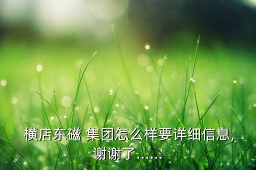  橫店東磁 集團(tuán)怎么樣要詳細(xì)信息,謝謝了……