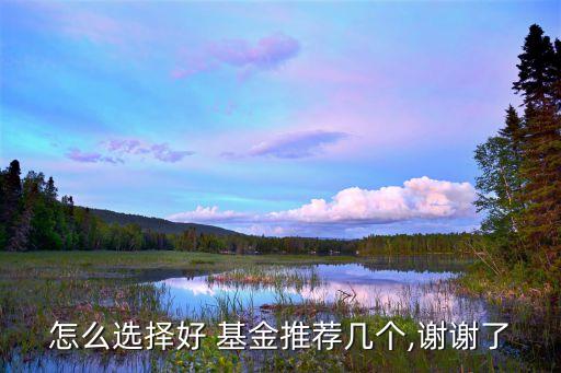 嘉實(shí)智能汽車基金經(jīng)理如何