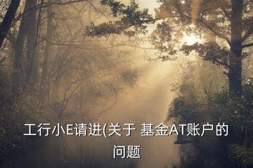 工行小E請(qǐng)進(jìn)(關(guān)于 基金AT賬戶的問(wèn)題