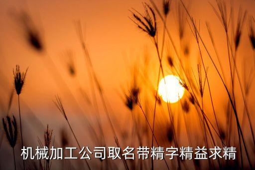 奇精機(jī)械股份有限公司董事長,寧?？h奇精機(jī)械股份有限公司
