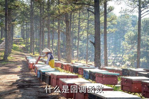 什么是回調函數