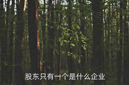  股東只有一個是什么企業(yè)