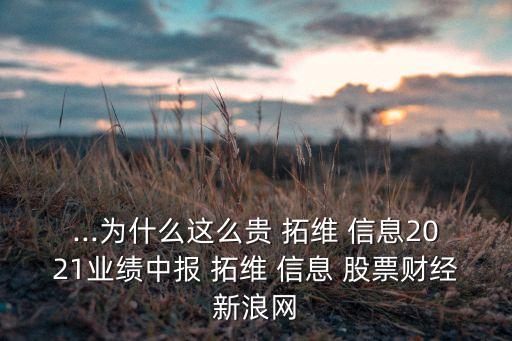 ...為什么這么貴 拓維 信息2021業(yè)績中報(bào) 拓維 信息 股票財(cái)經(jīng)新浪網(wǎng)