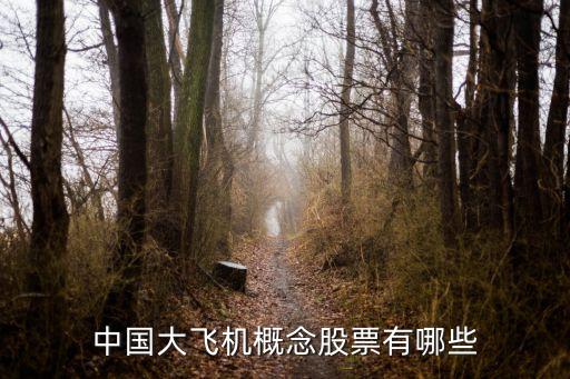 中國大飛機(jī)概念股票有哪些