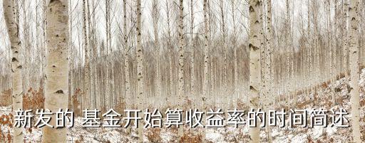 新發(fā)的 基金開始算收益率的時(shí)間簡(jiǎn)述