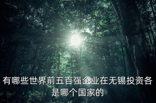 有哪些世界前五百?gòu)?qiáng)企業(yè)在無(wú)錫投資各是哪個(gè)國(guó)家的