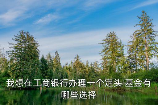 我想在工商銀行辦理一個(gè)定頭 基金有哪些選擇