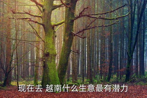 中國(guó)在越南的投資項(xiàng)目,中國(guó)太平投資項(xiàng)目