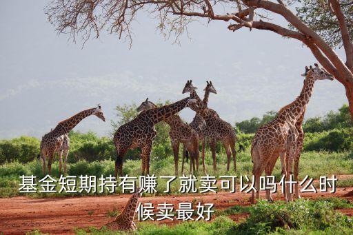  基金短期持有賺了就賣可以嗎什么時候賣最好