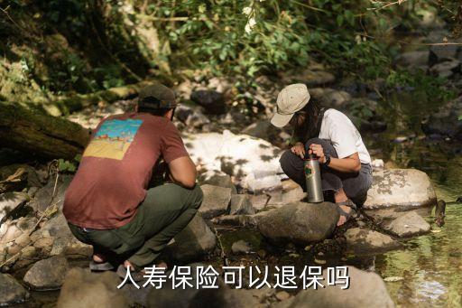 中國人壽保險(xiǎn)退