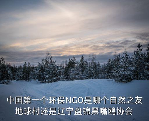 中國第一個環(huán)保NGO是哪個自然之友地球村還是遼寧盤錦黑嘴鷗協(xié)會