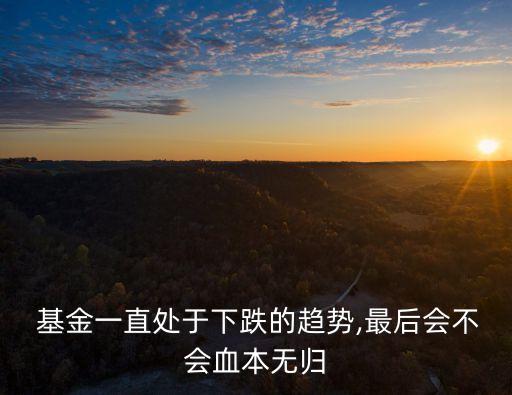 基金跌的時候會虧沒嗎