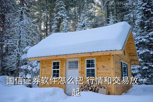 國(guó)信證券軟件怎么把 行情和交易放一起