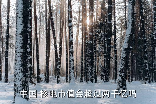 中國(guó) 核電市值會(huì)超過兩千億嗎