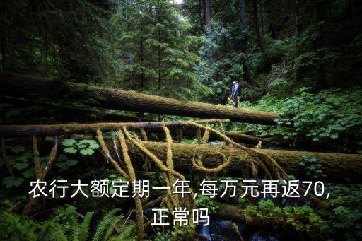 農(nóng)行大額定期一年,每萬(wàn)元再返70,正常嗎
