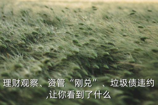 理財(cái)觀察、資管“剛兌”、垃圾債違約,讓你看到了什么