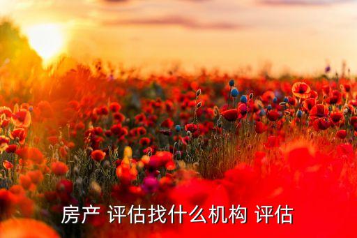 陜西德威房地產(chǎn)評(píng)估有限公司,陜西興業(yè)房地產(chǎn)評(píng)估有限公司