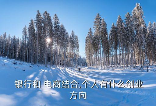  銀行和 電商結(jié)合,個人有什么創(chuàng)業(yè)方向