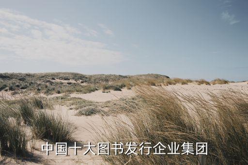 中國十大圖書發(fā)行企業(yè)集團