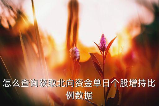 怎么查詢(xún)獲取北向資金單日個(gè)股增持比例數(shù)據(jù)