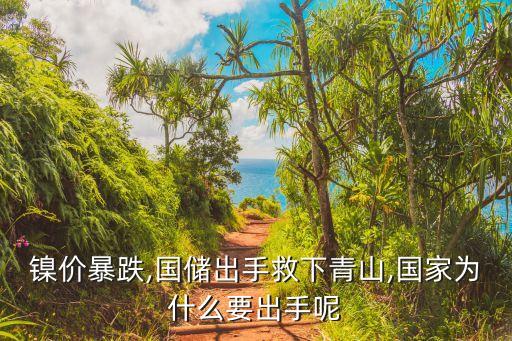 鎳價(jià)暴跌,國儲(chǔ)出手救下青山,國家為什么要出手呢