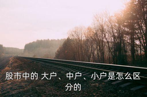 股市中的 大戶、中戶、小戶是怎么區(qū)分的