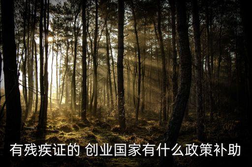 有殘疾證的 創(chuàng)業(yè)國(guó)家有什么政策補(bǔ)助