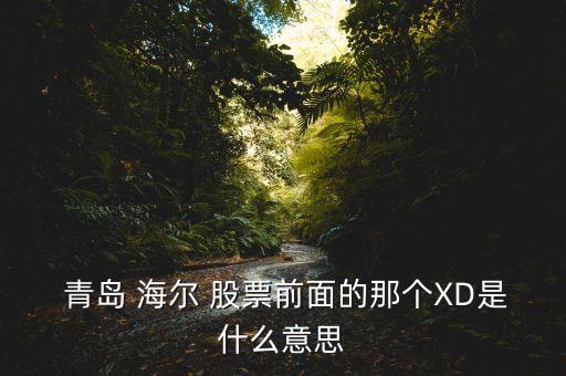  青島 海爾 股票前面的那個(gè)XD是什么意思