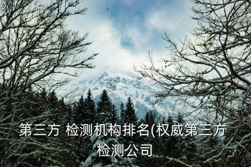 第三方 檢測(cè)機(jī)構(gòu)排名(權(quán)威第三方 檢測(cè)公司