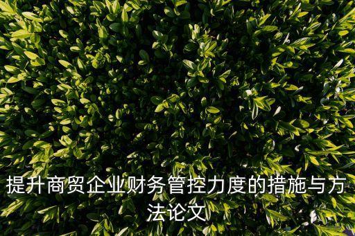 提升商貿企業(yè)財務管控力度的措施與方法論文