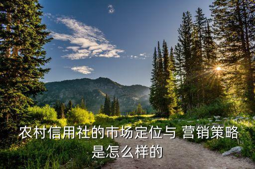  農(nóng)村信用社的市場(chǎng)定位與 營(yíng)銷(xiāo)策略是怎么樣的