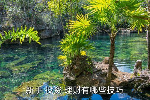 新手 投資 理財有哪些技巧