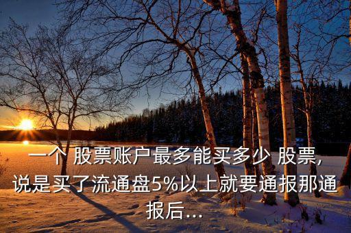個(gè)人擁有股票百分之五