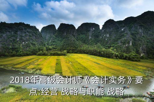 2018年高級會計師《會計實務(wù)》要點:經(jīng)營 戰(zhàn)略與職能 戰(zhàn)略