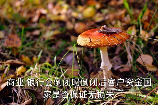 商業(yè) 銀行會(huì)倒閉嗎倒閉后客戶(hù)資金國(guó)家是否保證無(wú)損失
