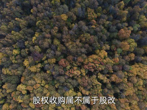  股權(quán)收購屬不屬于股改