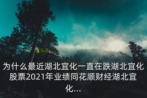 為什么最近湖北宜化一直在跌湖北宜化股票2021年業(yè)績同花順財經(jīng)湖北宜化...
