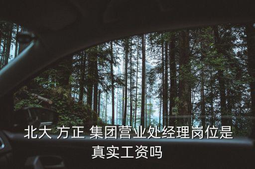 北大 方正 集團營業(yè)處經(jīng)理崗位是真實工資嗎