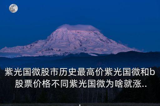 紫光國(guó)微股市歷史最高價(jià)紫光國(guó)微和b 股票價(jià)格不同紫光國(guó)微為啥就漲...