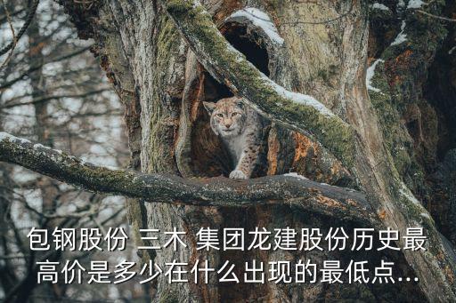 包鋼股份 三木 集團(tuán)龍建股份歷史最高價是多少在什么出現(xiàn)的最低點(diǎn)...