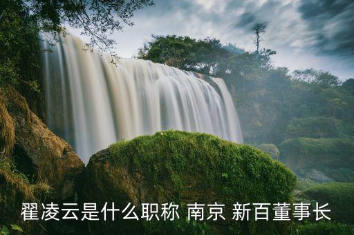 翟凌云是什么職稱(chēng) 南京 新百董事長(zhǎng)