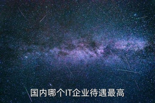 國內(nèi)哪個(gè)IT企業(yè)待遇最高