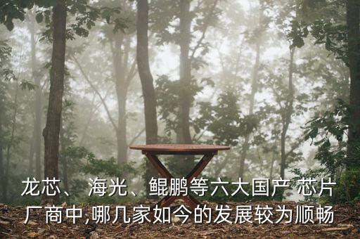 龍芯、 海光、鯤鵬等六大國產(chǎn) 芯片廠商中,哪幾家如今的發(fā)展較為順暢