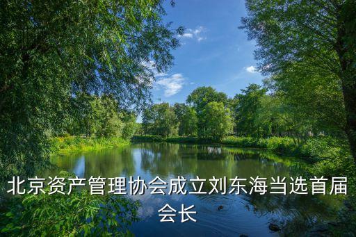 北京資產(chǎn)管理協(xié)會(huì)成立劉東海當(dāng)選首屆會(huì)長