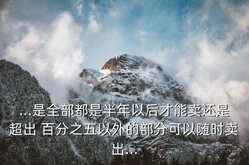 ...是全部都是半年以后才能賣(mài)還是超出 百分之五以外的部分可以隨時(shí)賣(mài)出...