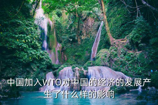 中國加入WTO對中國的經(jīng)濟的發(fā)展產(chǎn)生了什么樣的影響