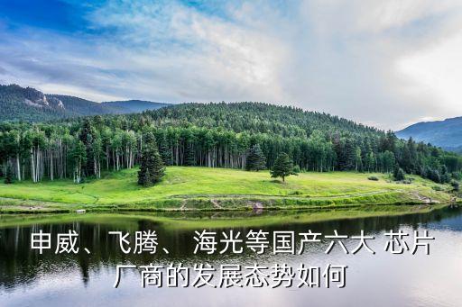申威、飛騰、 海光等國產(chǎn)六大 芯片廠商的發(fā)展態(tài)勢如何