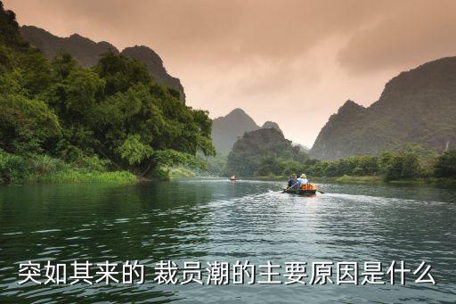 突如其來(lái)的 裁員潮的主要原因是什么