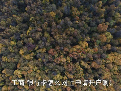  工商 銀行卡怎么網上申請開戶啊!